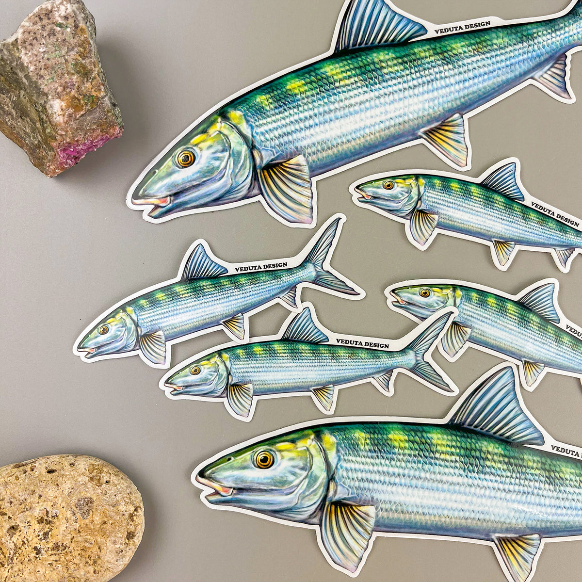 Multiple Bonefish stickers scattered on a flat surface, Grey Ghost flats fishing decals