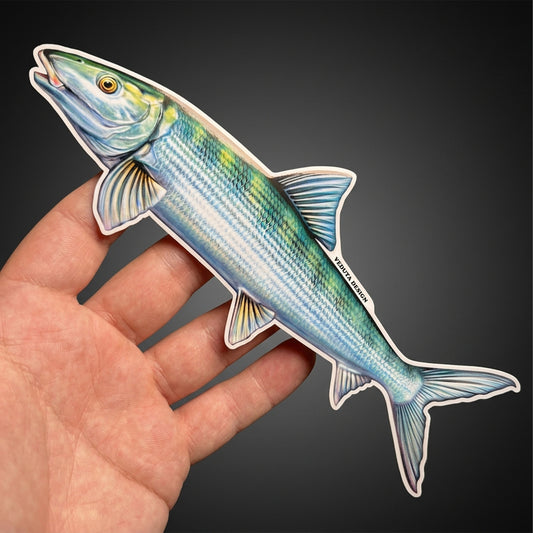 Bonefish sticker held in hand against a dark background, flats fly fishing decal
