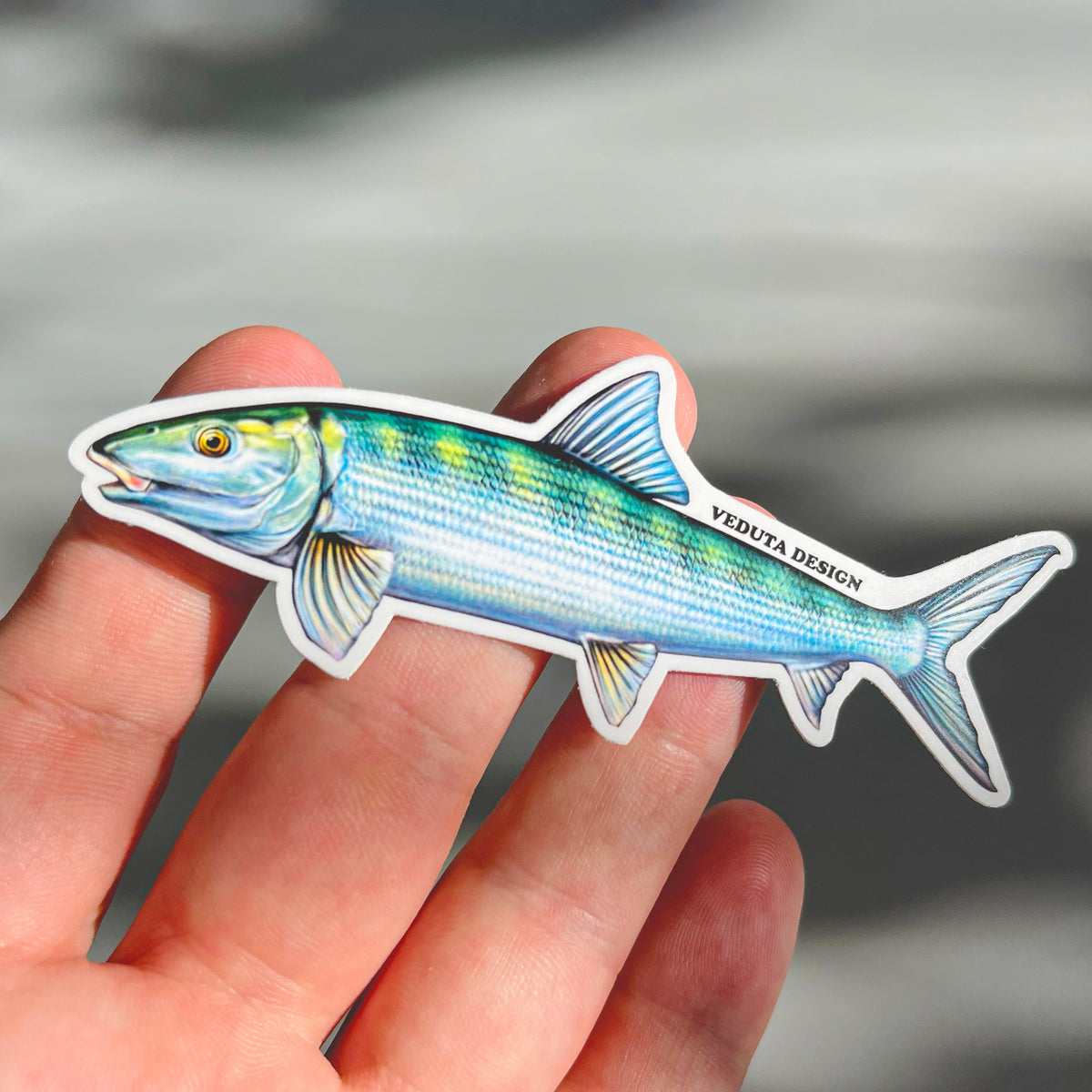 Bonefish vinyl sticker held in hand outdoors with dappled light, saltwater fly fishing decal