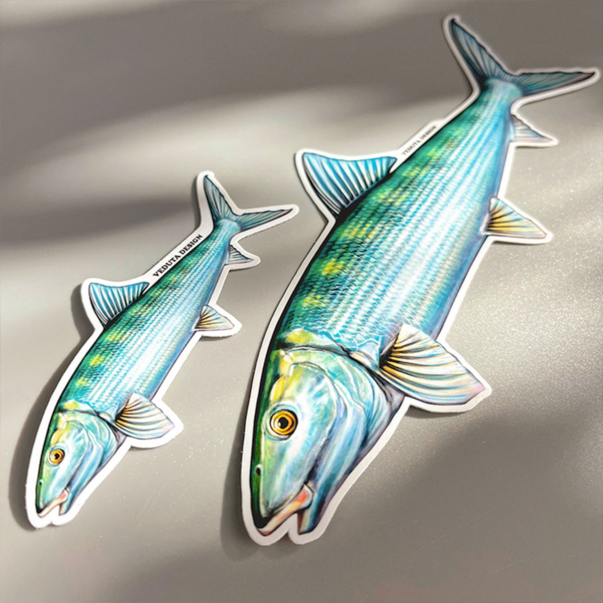 Bonefish stickers in two sizes laid flat, showing the 4-inch and 8-inch options, flats fishing decal