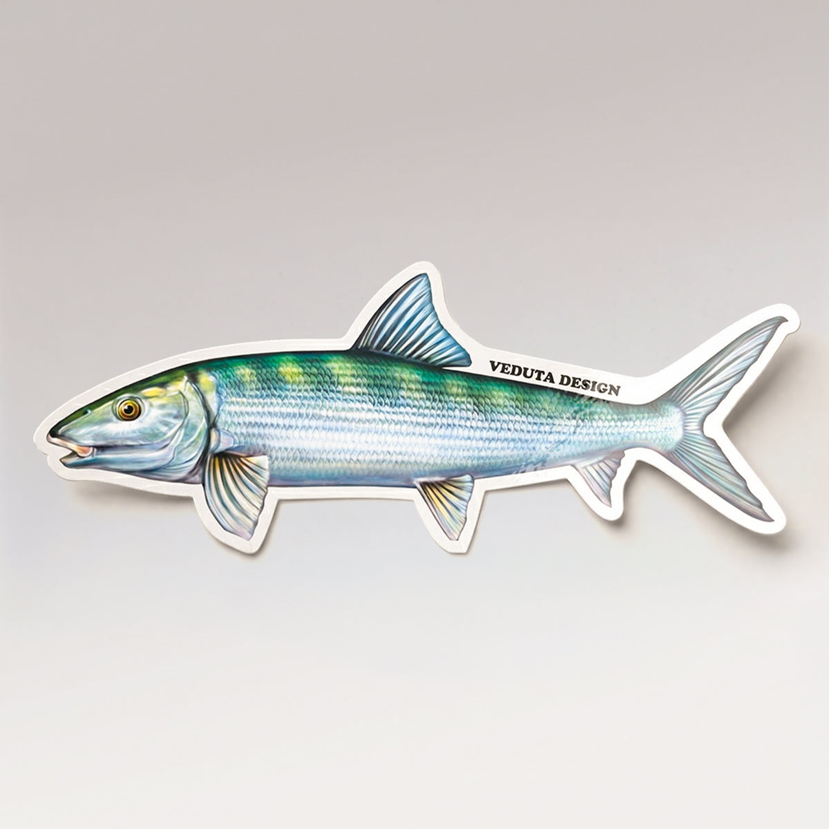 Bonefish vinyl sticker, the Grey Ghost of the Flats, on a light studio background