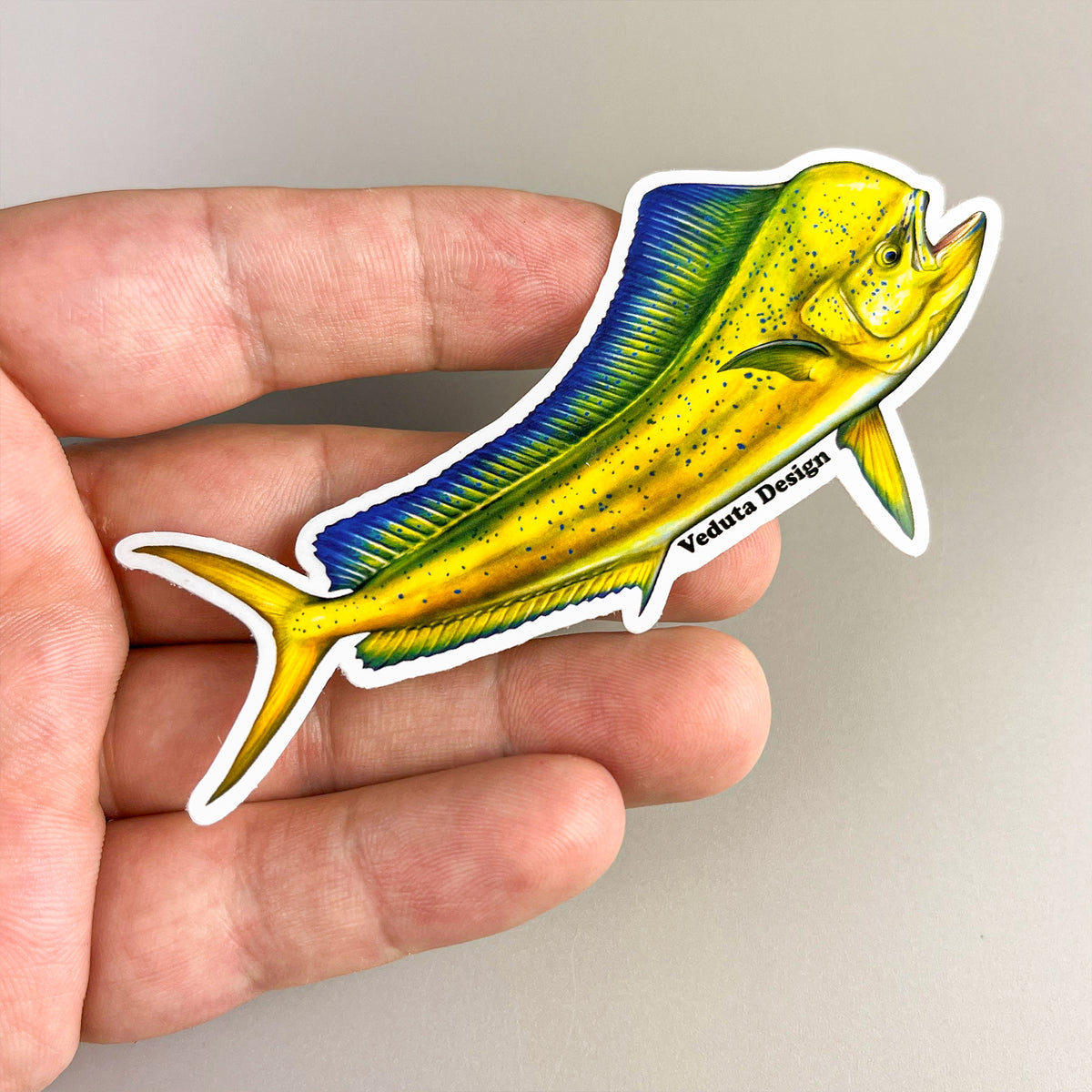 Dolphinfish sticker held in hand against a plain background