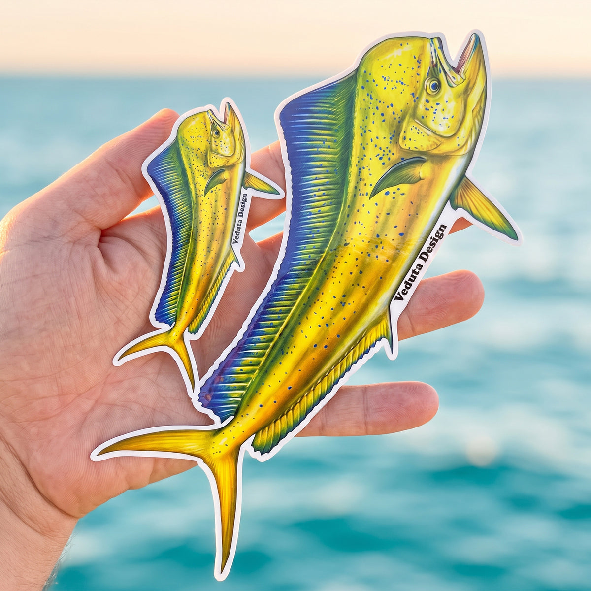 Dolphinfish stickers in two sizes held in hand with the ocean in the background