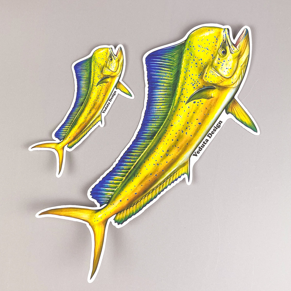 Dolphinfish stickers in two sizes side by side, Mahi-Mahi fishing decal