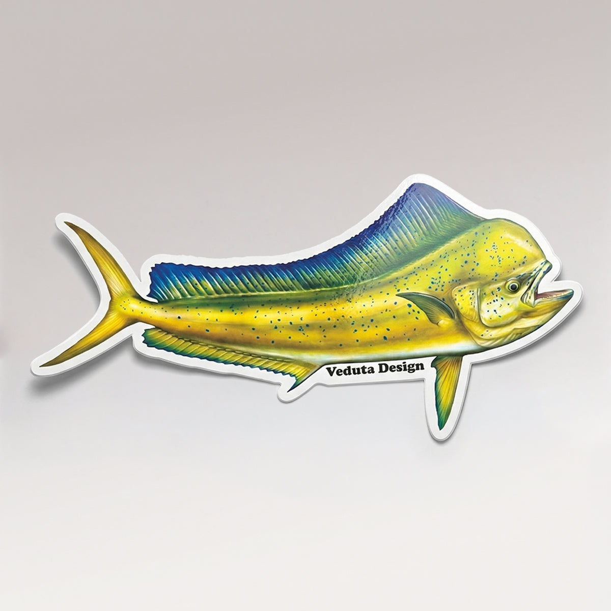 Dolphinfish vinyl sticker, the Mahi-Mahi, on a light studio background