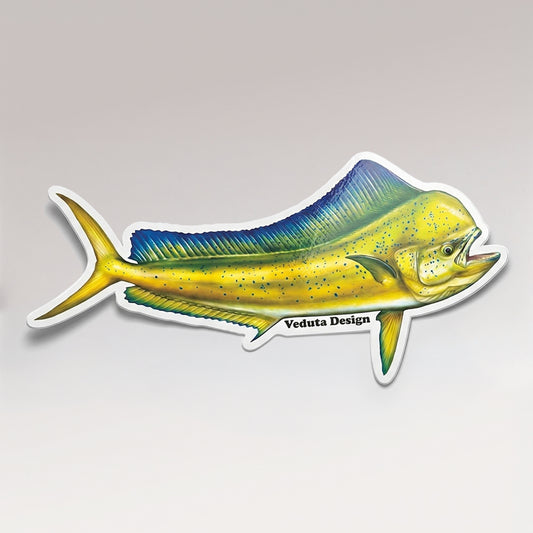 Dolphinfish vinyl sticker, the Mahi-Mahi, on a light studio background