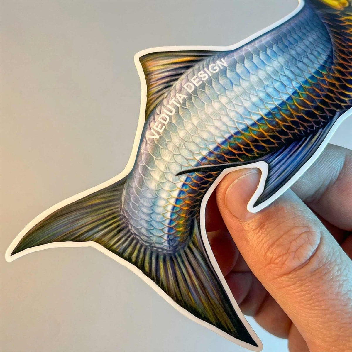 Close-up of Leaping Tarpon sticker held in hand, VEDUTA DESIGN fly fishing decal of the Silver King