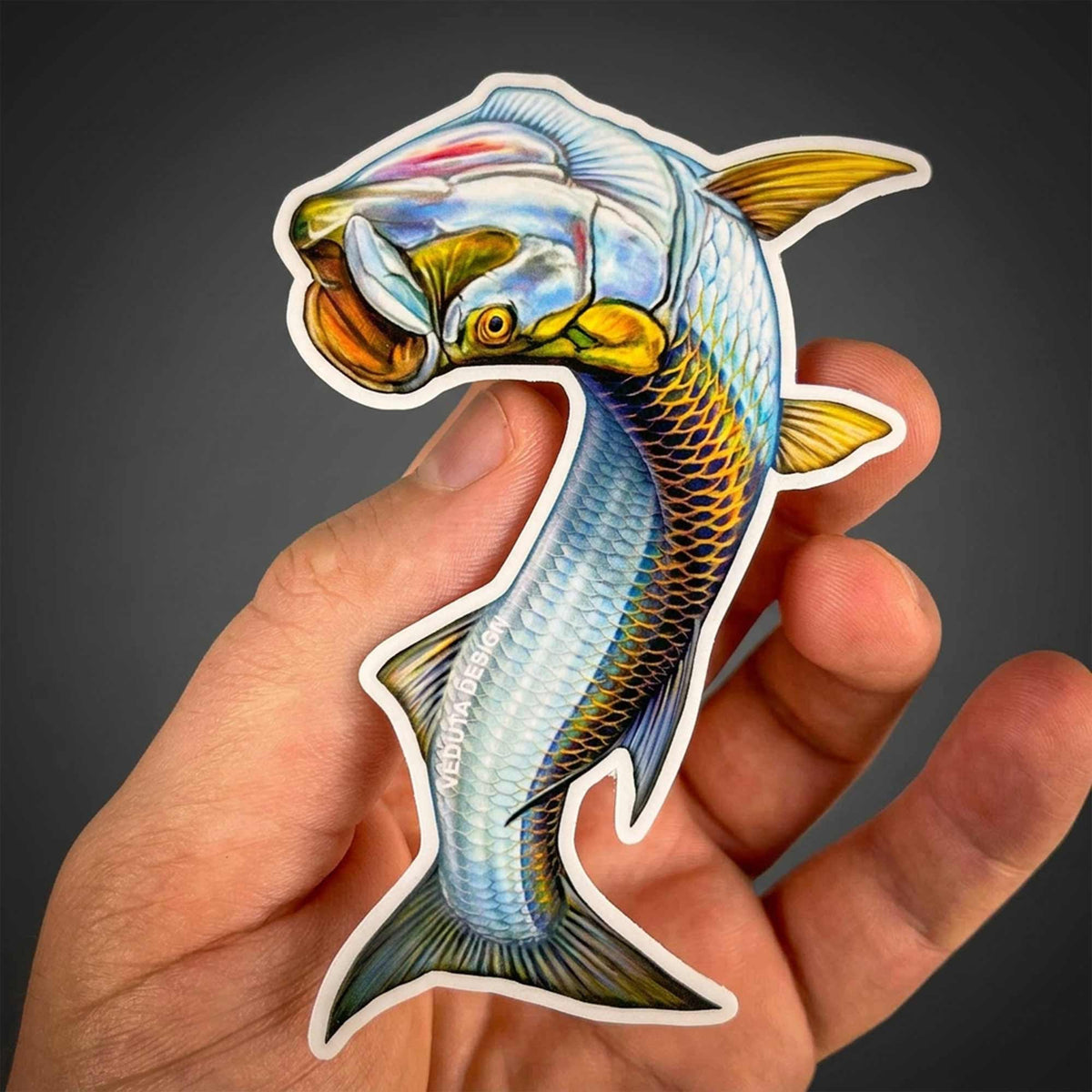 Leaping Tarpon sticker held in hand against a dark background, saltwater fly fishing decal