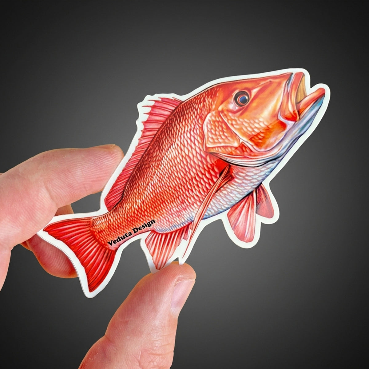 Close-up of Red Snapper sticker held between fingers