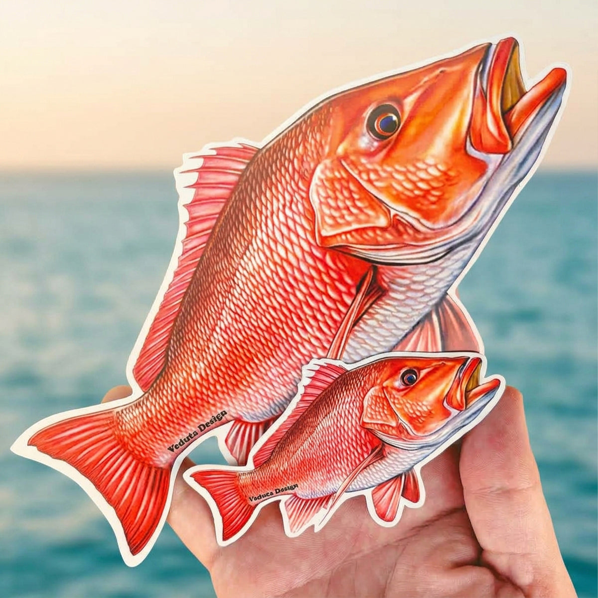 Red Snapper stickers in 4-inch and 8-inch sizes held in hand with the ocean behind