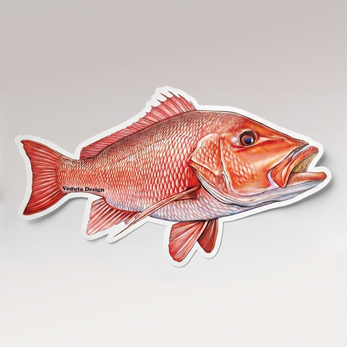 Red Snapper stickers in two sizes laid flat on a light studio background
