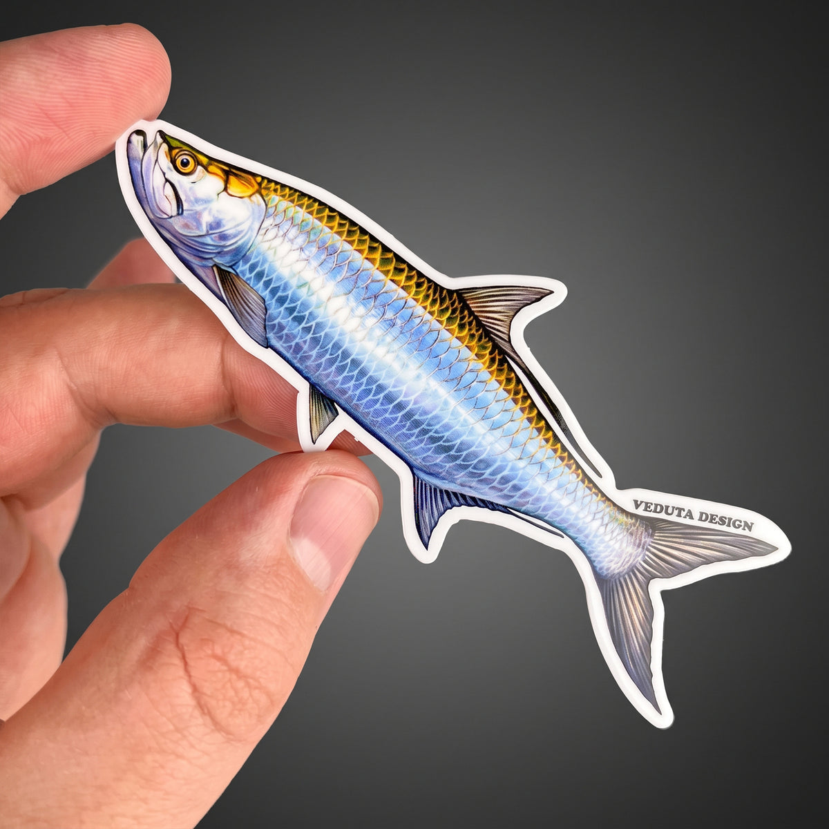Close-up of Tarpon sticker held between fingers