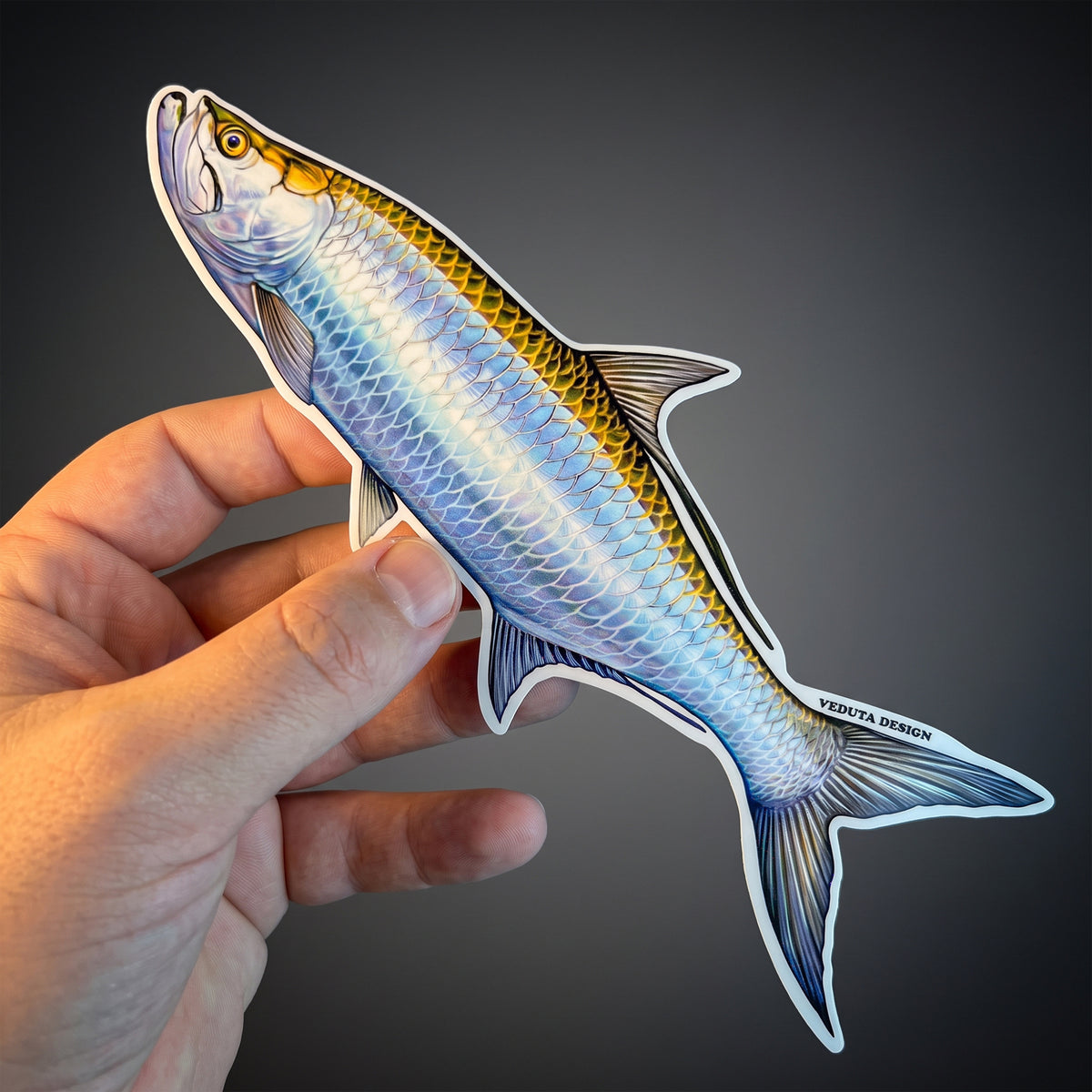 Tarpon sticker held in hand against a dark background