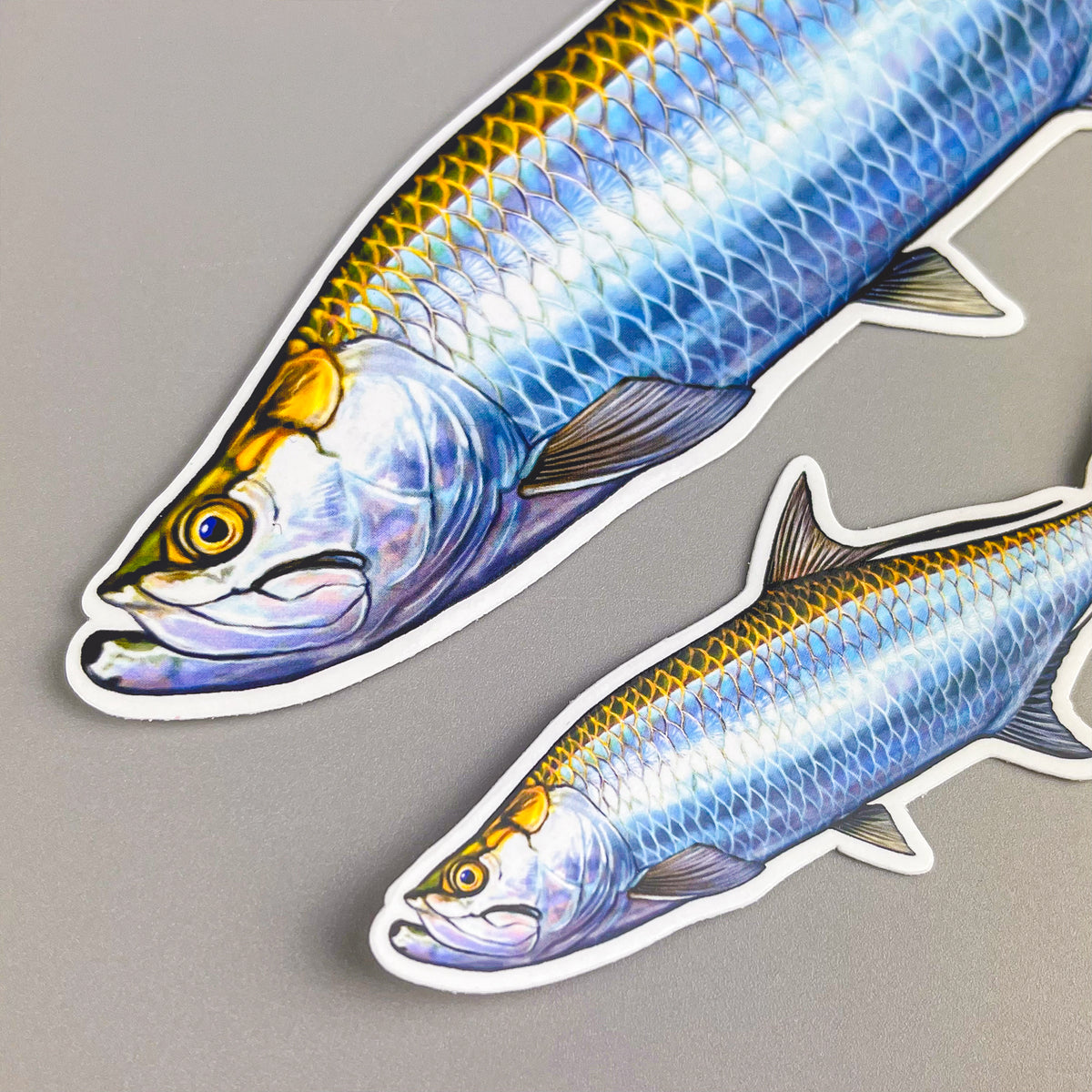Tarpon stickers in both sizes laid flat, showing the 4-inch and 8-inch options