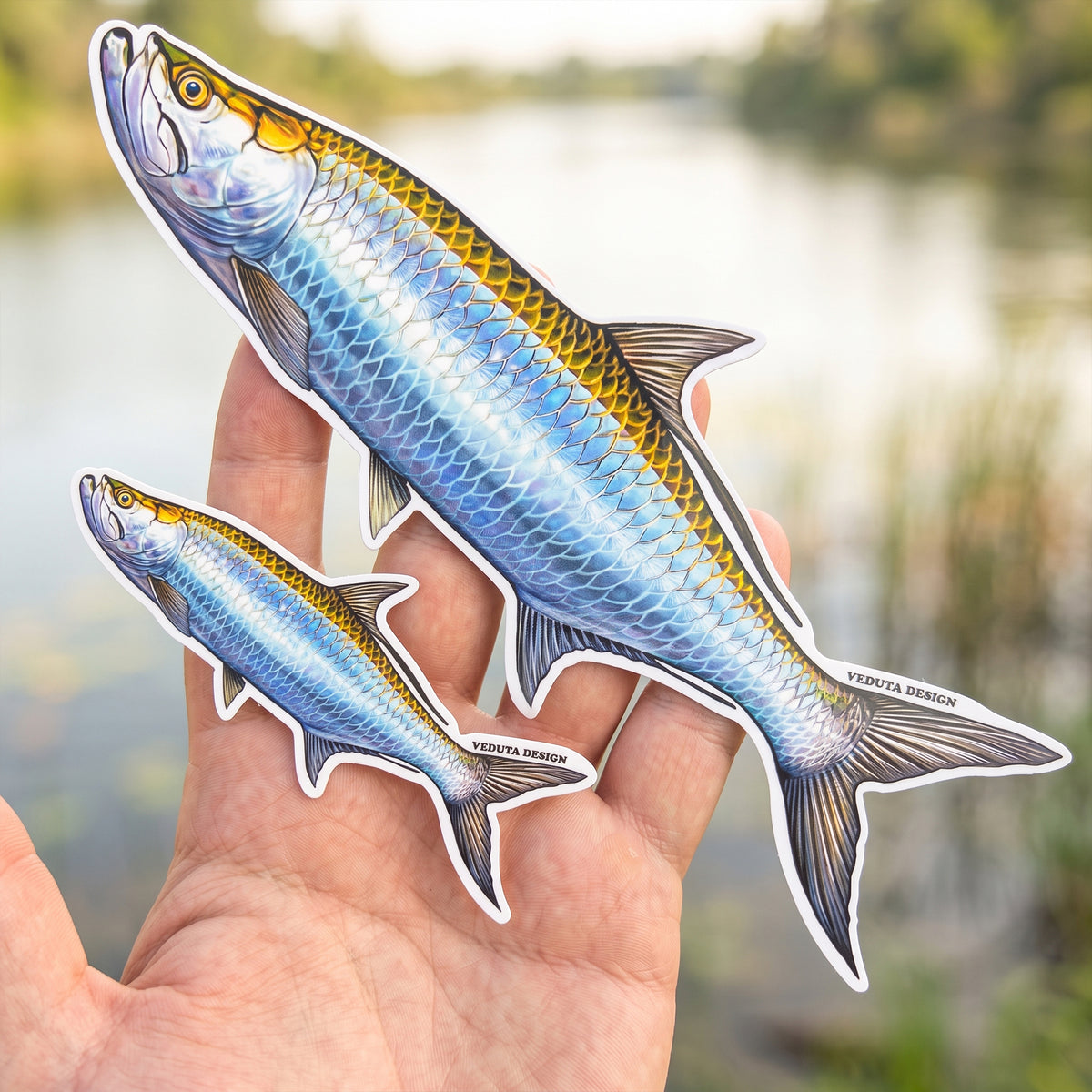 Two sizes of the Tarpon sticker held in hand with a lake in the background